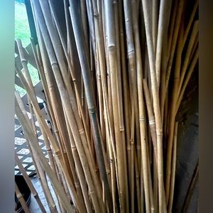 Brown bamboo sticks